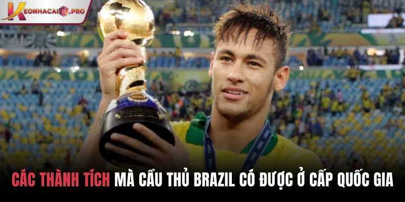 Các thành tích mà cầu thủ Brazil có được ở cấp quốc gia