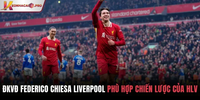ĐKVĐ Federico Chiesa Liverpool phù hợp với chiến lược của HLV