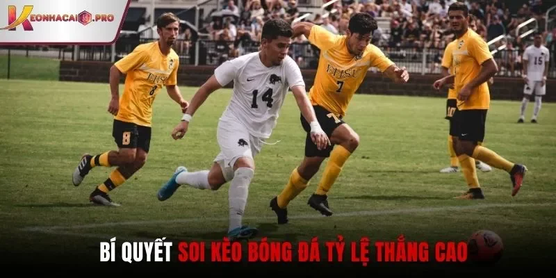 Bí quyết soi kèo bóng đá tỷ lệ thắng cao